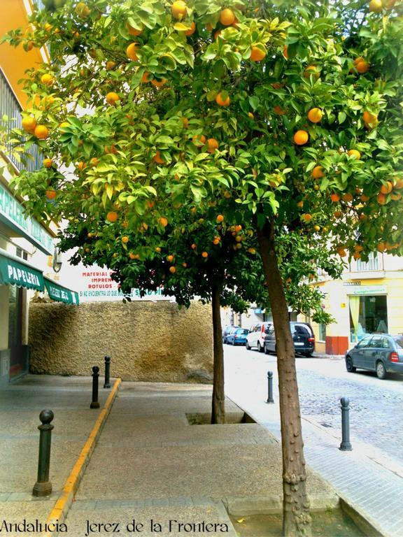 Al Andalus Jerez Hotel