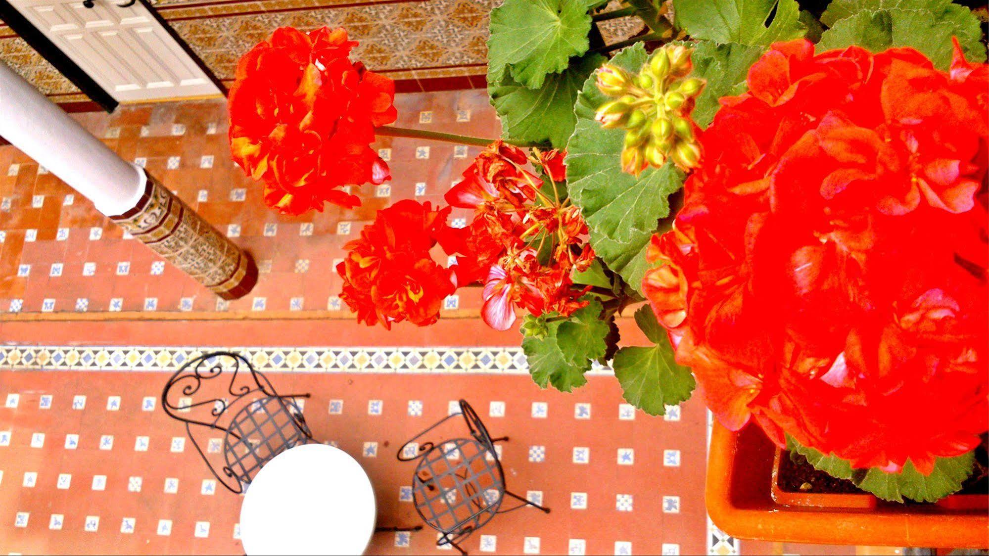 Hotel Al Andalus Jerez 2*
